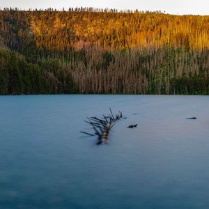 cerne jezero